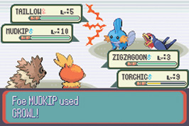 Pokémon Ruby Version Double Battle